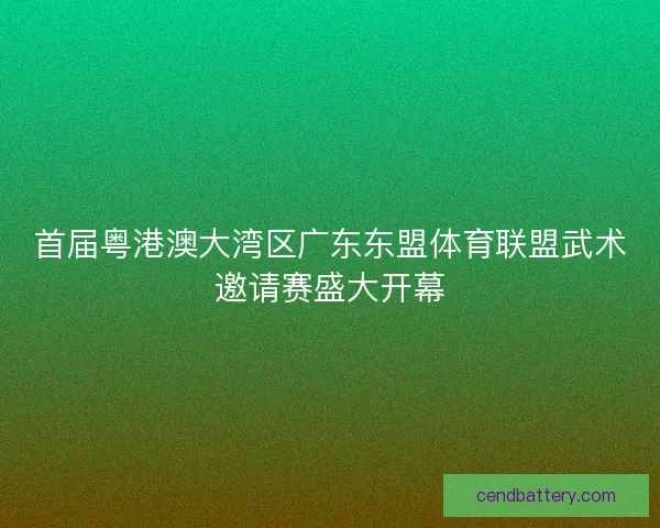 首届粤港澳大湾区广东东盟体育联盟武术邀请赛盛大开幕